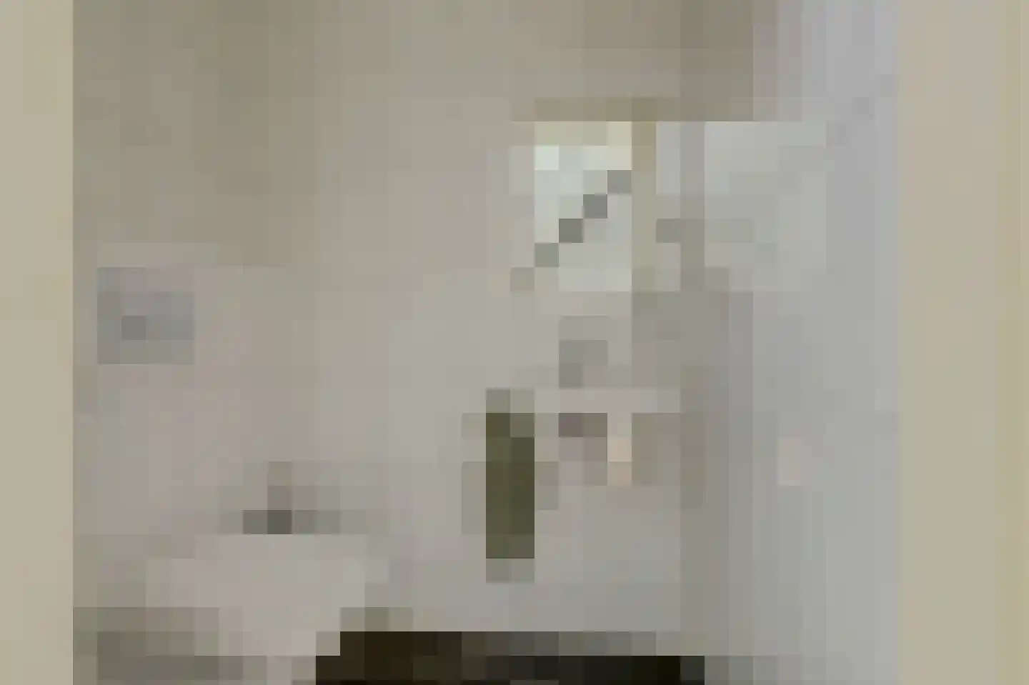 Blauwveen 5 Wateringen thumbnail 24