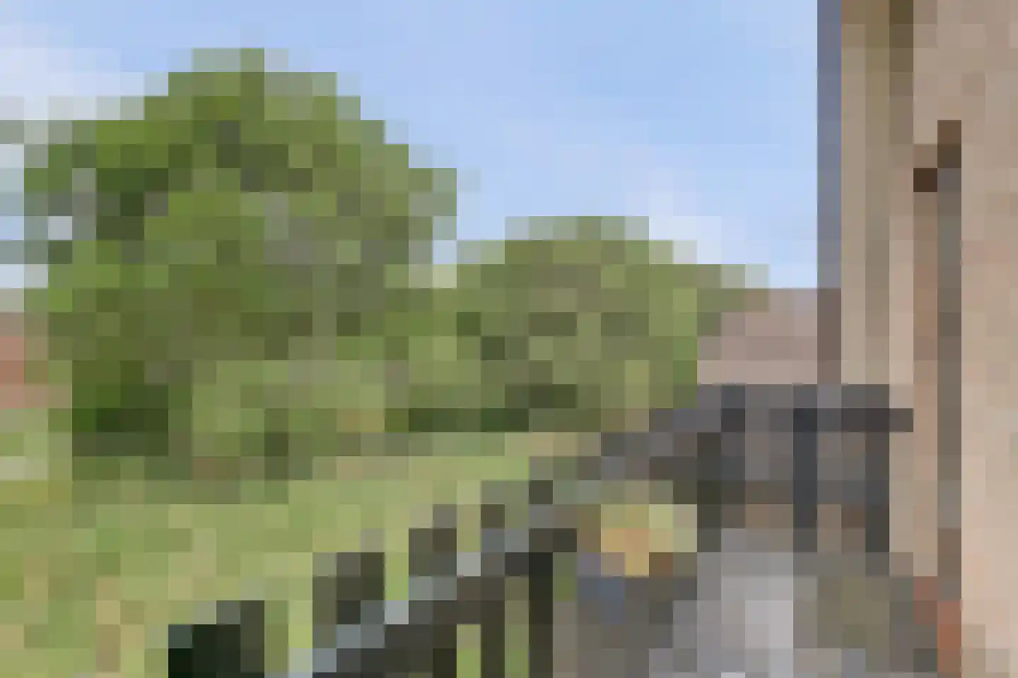 Blauwveen 5 Wateringen thumbnail 31