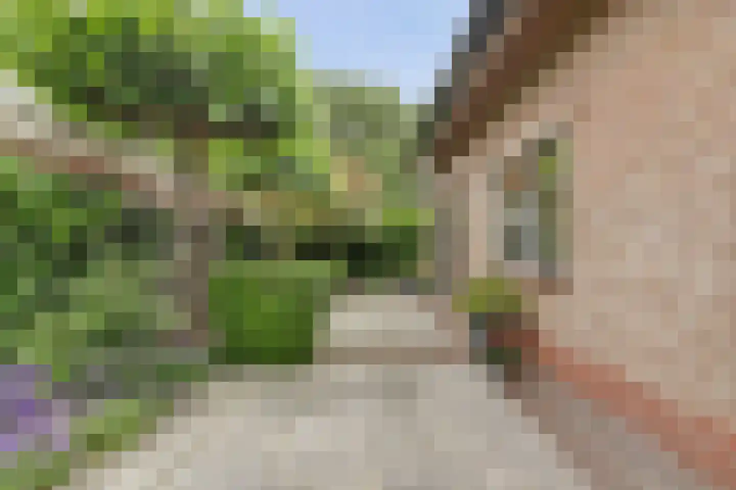 Blauwveen 5 Wateringen thumbnail 4