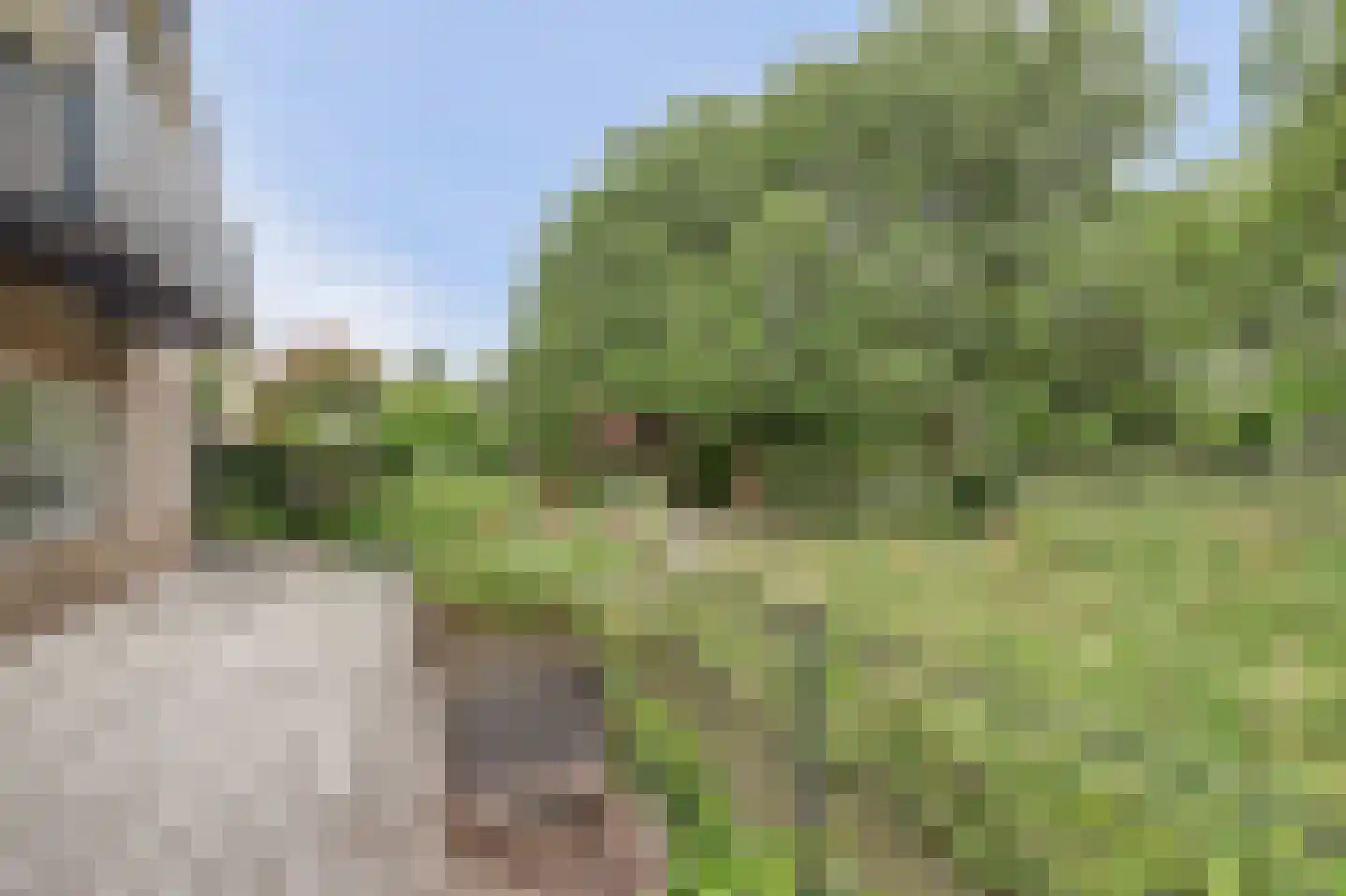 Blauwveen 5 Wateringen thumbnail 44