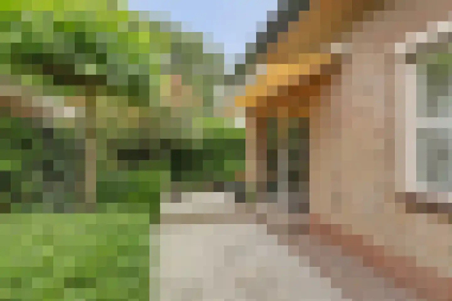 Blauwveen 5 Wateringen thumbnail 46