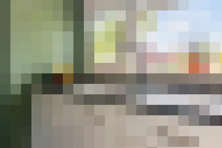 Blauwven 112 Veldhoven thumbnail 17