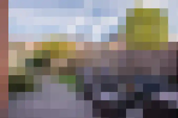 Blauwven 112 Veldhoven thumbnail 32