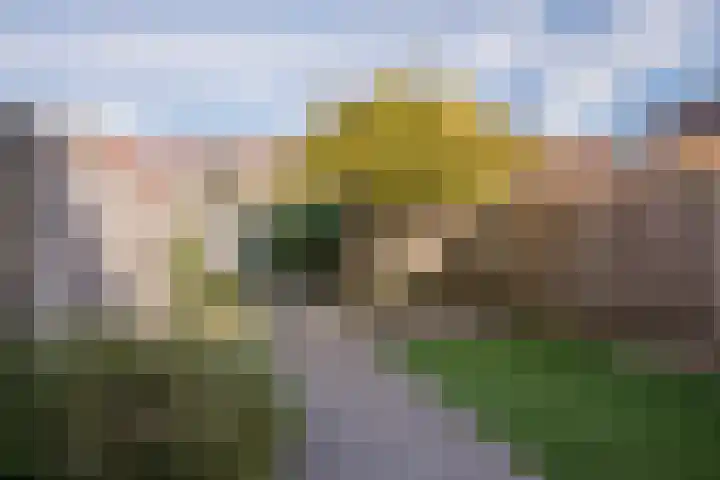 Blauwven 112 Veldhoven thumbnail 33