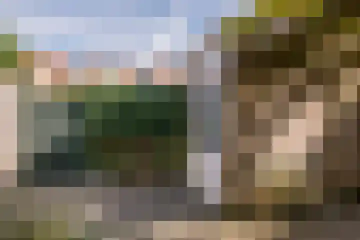 Blauwven 112 Veldhoven thumbnail 35