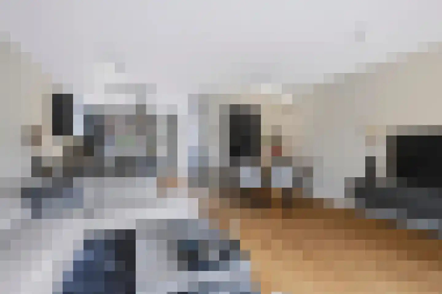 Blauwven 23 Veldhoven thumbnail 15
