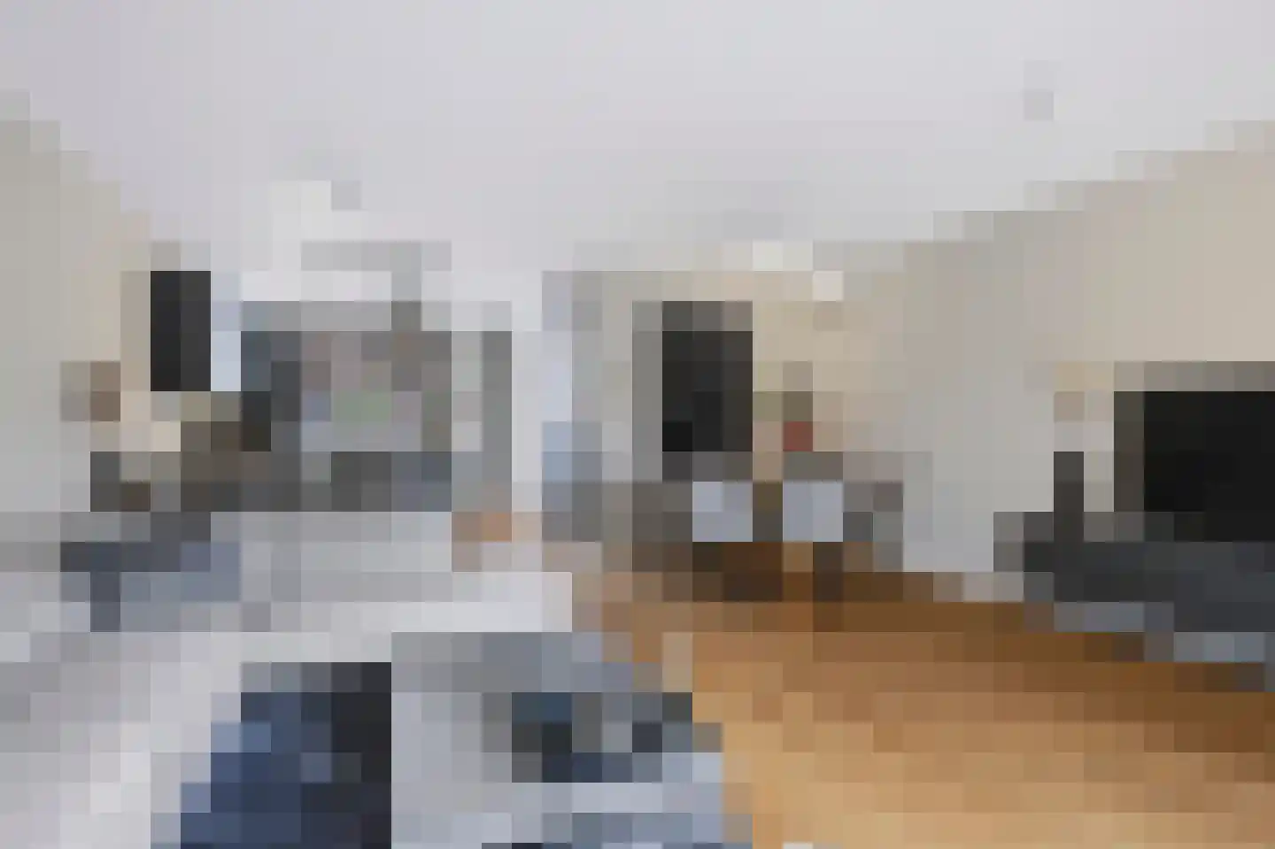 Blauwven 23 Veldhoven thumbnail 15