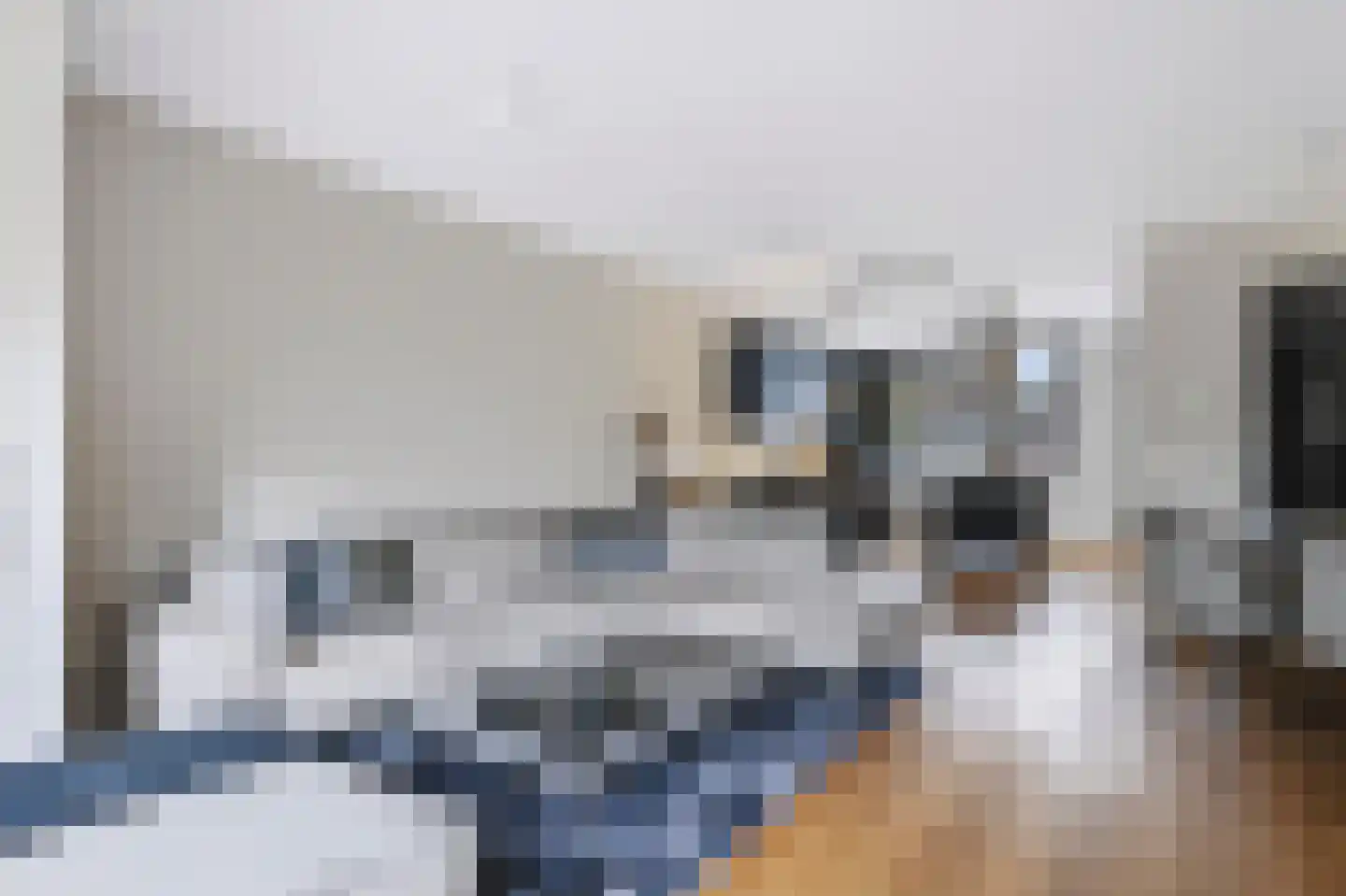 Blauwven 23 Veldhoven thumbnail 16