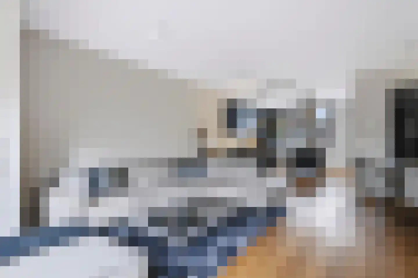 Blauwven 23 Veldhoven thumbnail 16