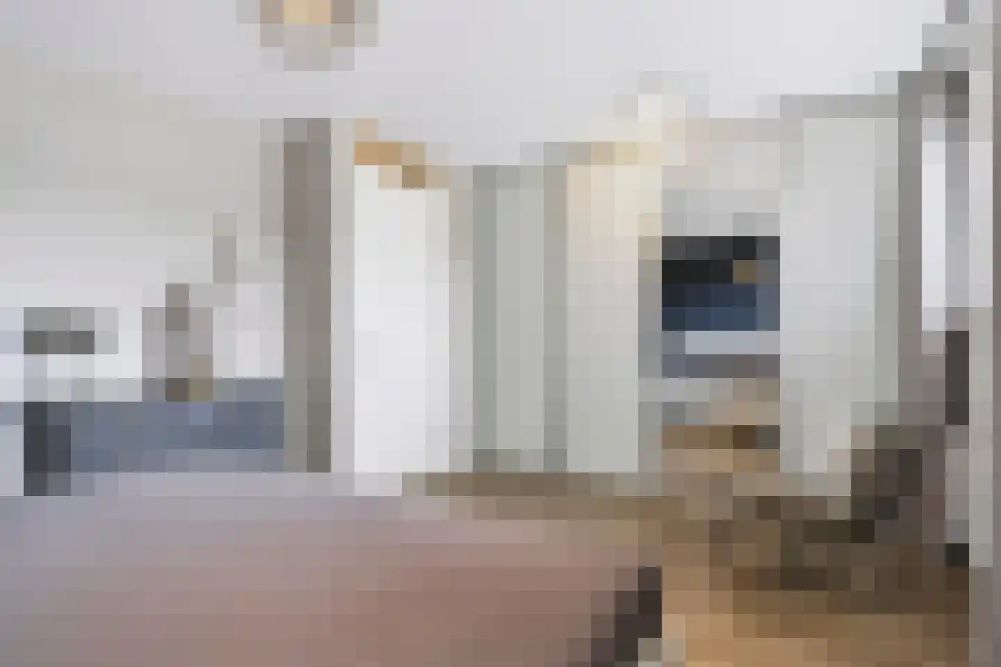 Blauwven 23 Veldhoven thumbnail 25