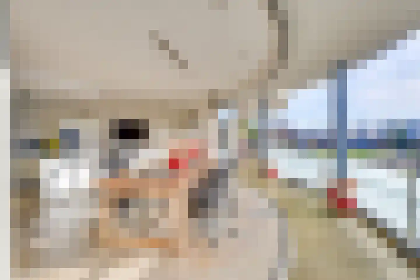 Blauwven 93 Veldhoven thumbnail 20