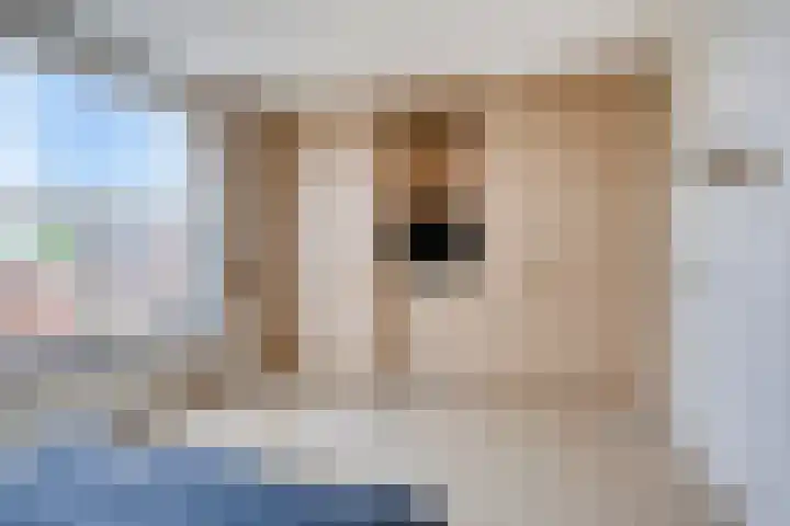 Blauwven 99 Veldhoven thumbnail 16