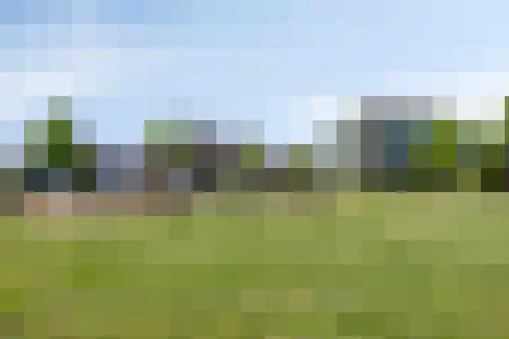 Blauwven 99 Veldhoven thumbnail 34