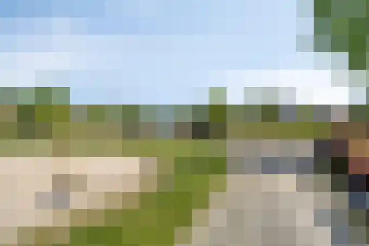 Blauwven 99 Veldhoven thumbnail 35