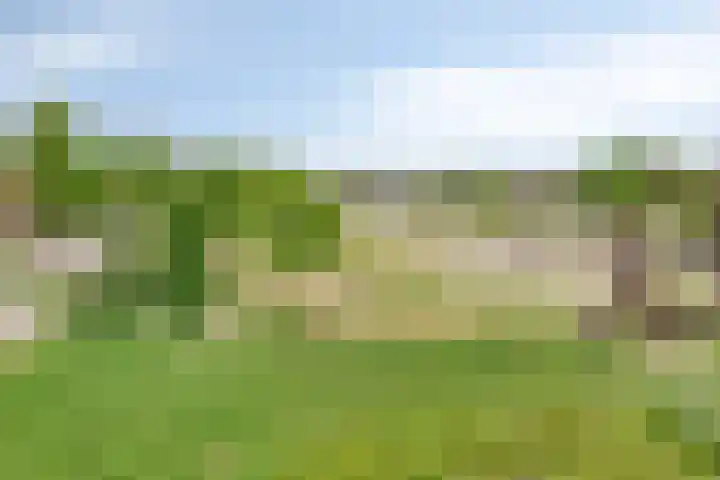 Blauwven 99 Veldhoven thumbnail 36