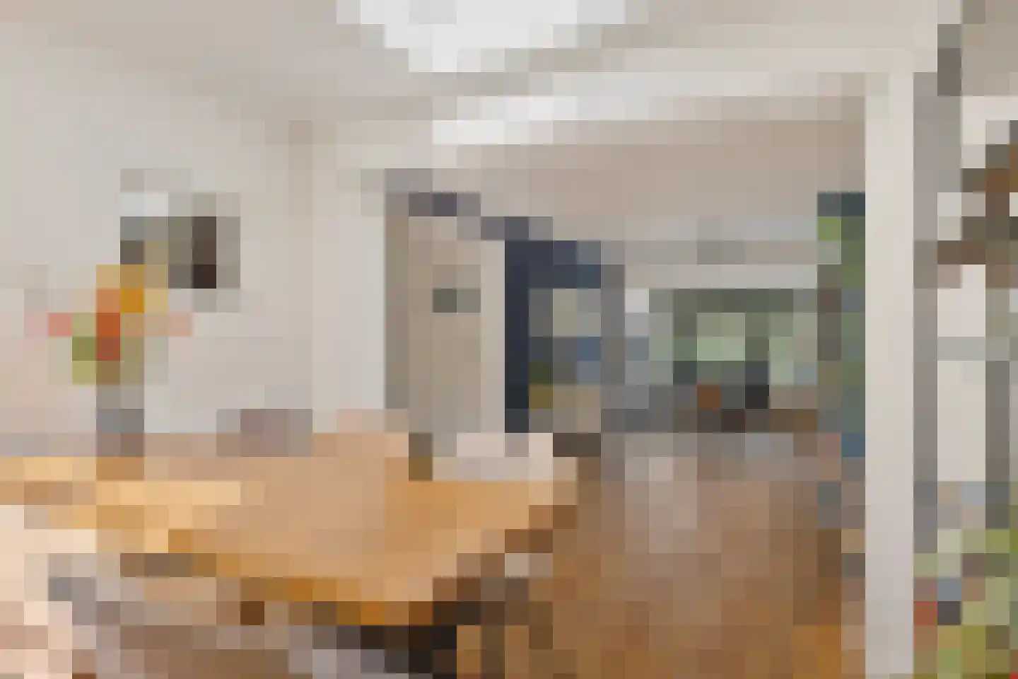 Blauwverversregel 17 Drachten thumbnail 4