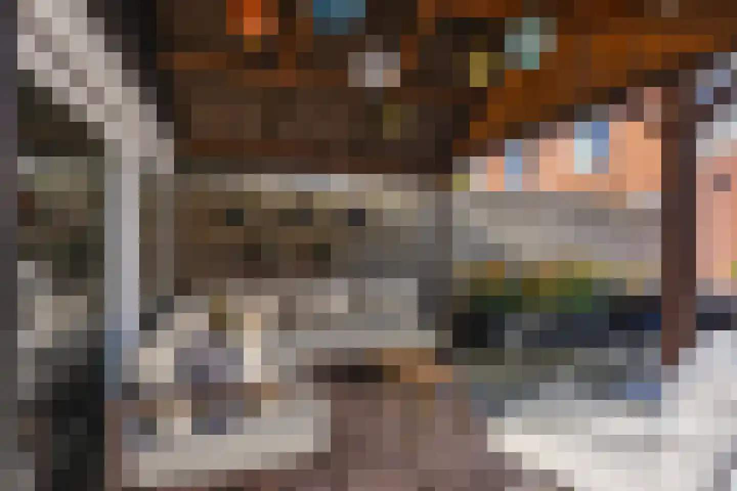 Blauwverversregel 17 Drachten thumbnail 47