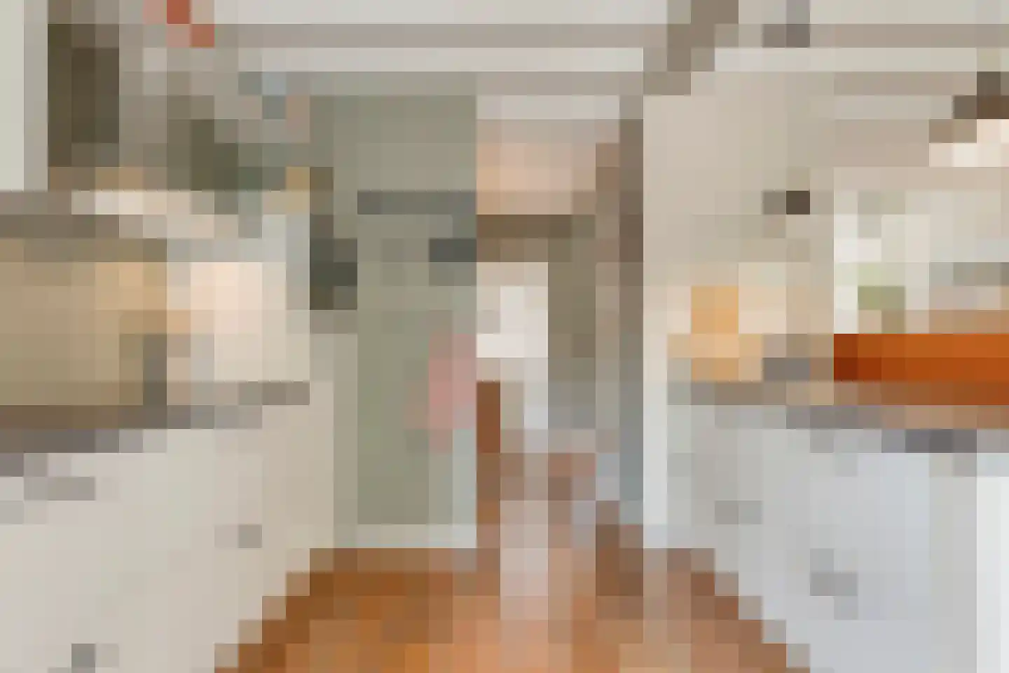 Blauwververstraat 39 Horst thumbnail 18