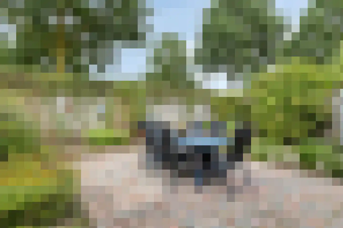 Blauwververstraat 39 Horst thumbnail 29