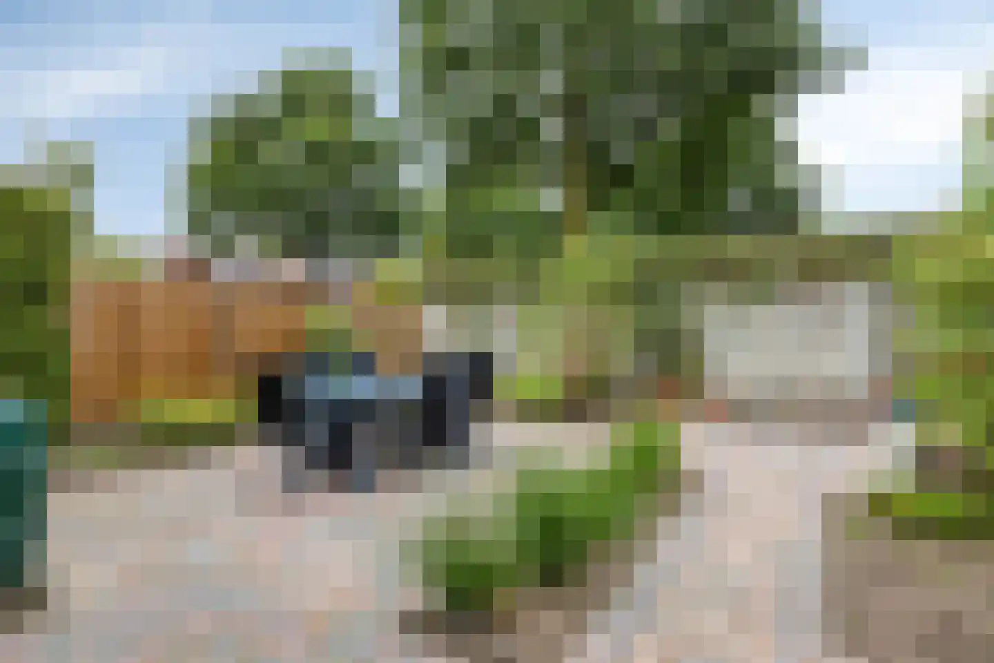 Blauwververstraat 39 Horst thumbnail 4