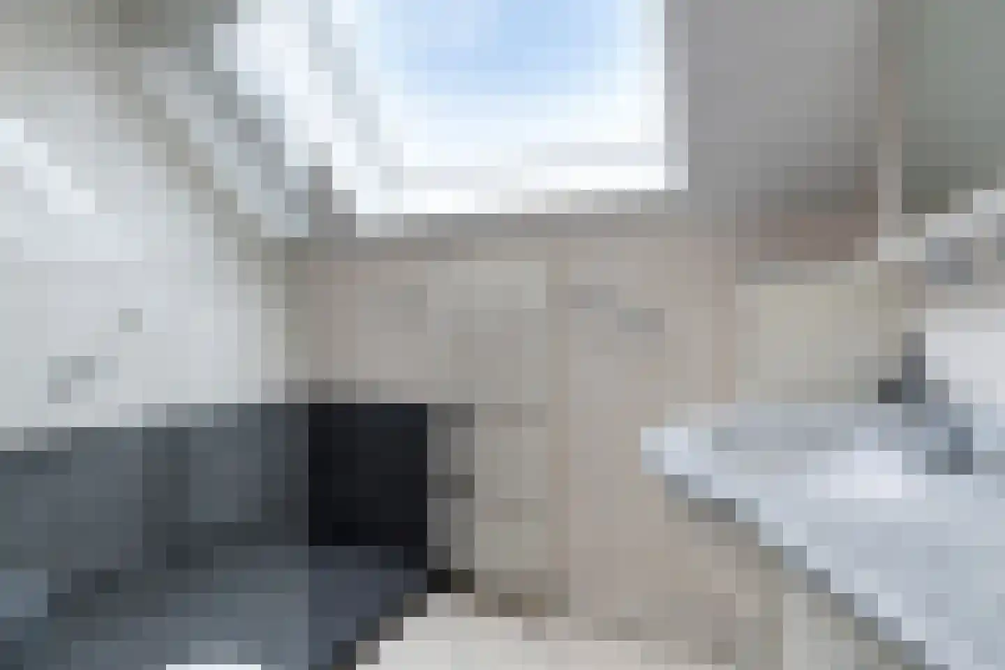 Blauwververstraat 39 Horst thumbnail 5