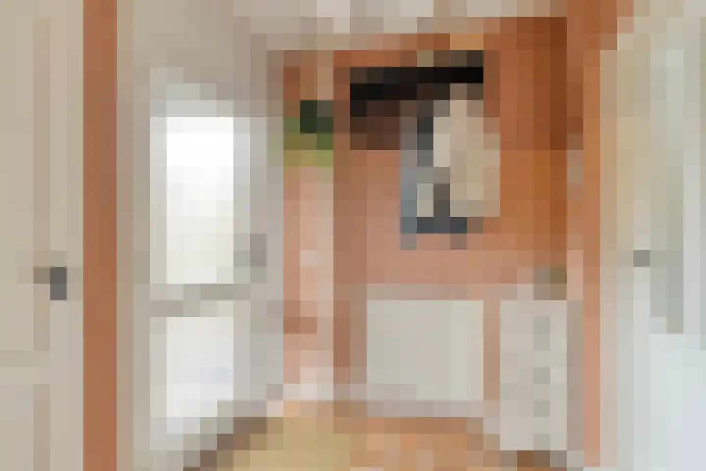 Blauwververstraat 39 Horst thumbnail 7
