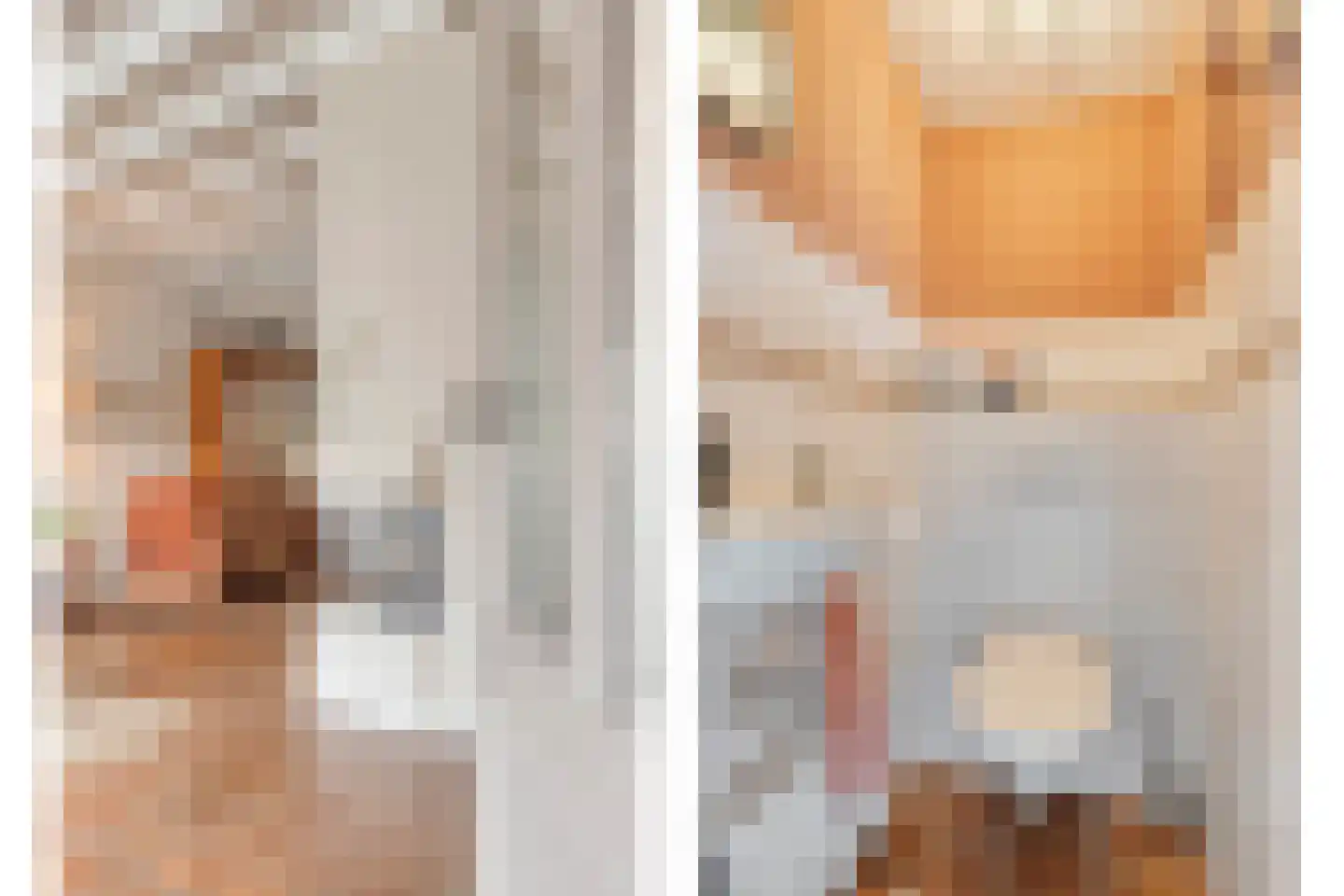 Blauwververstraat 39 Horst thumbnail 8