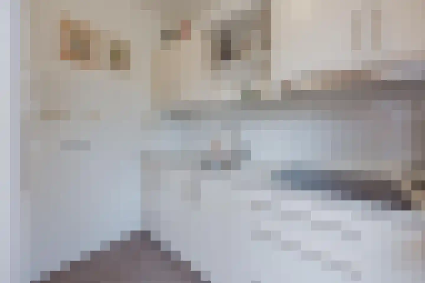 Blauwververstraat 44 Horst thumbnail 16