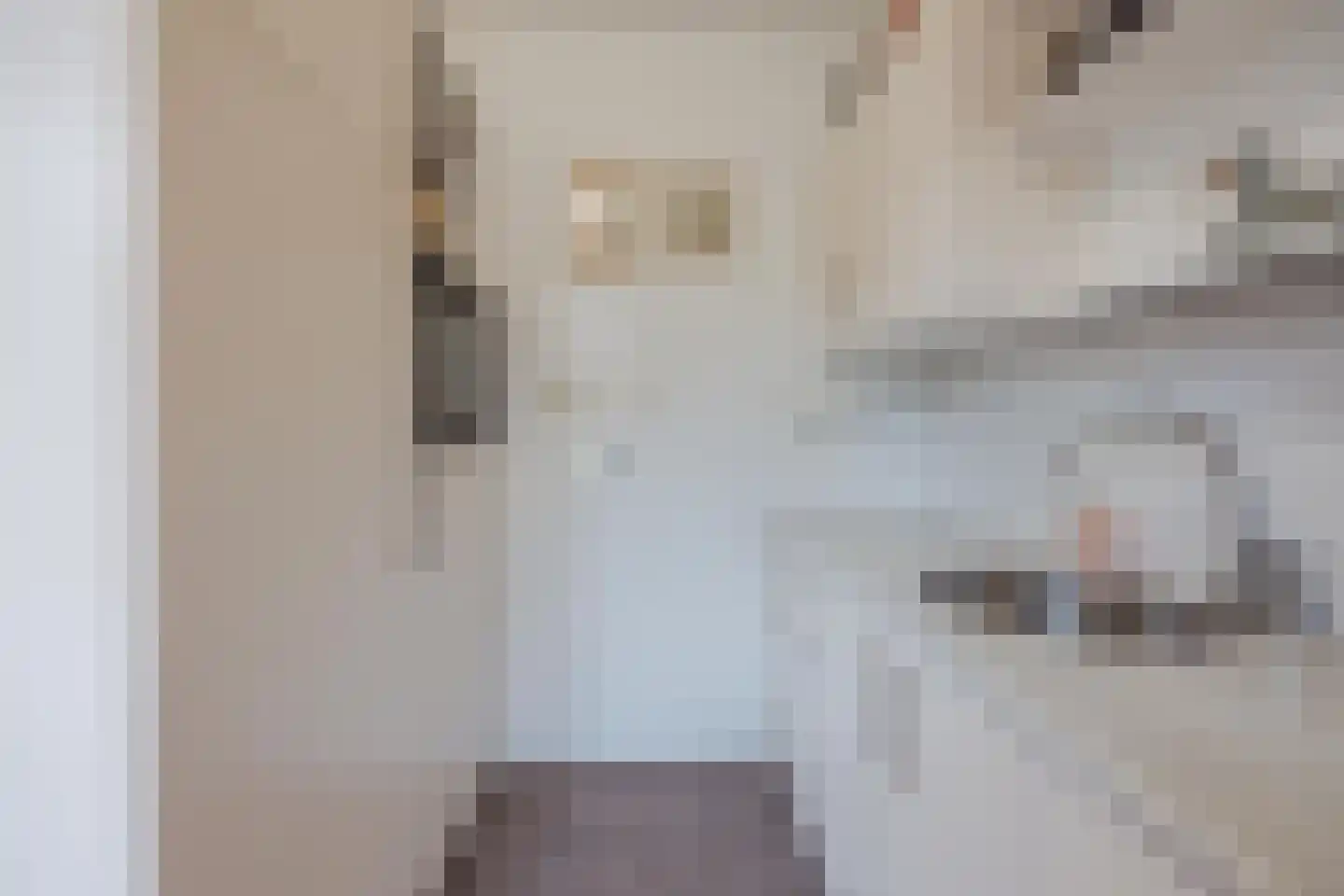 Blauwververstraat 44 Horst thumbnail 17