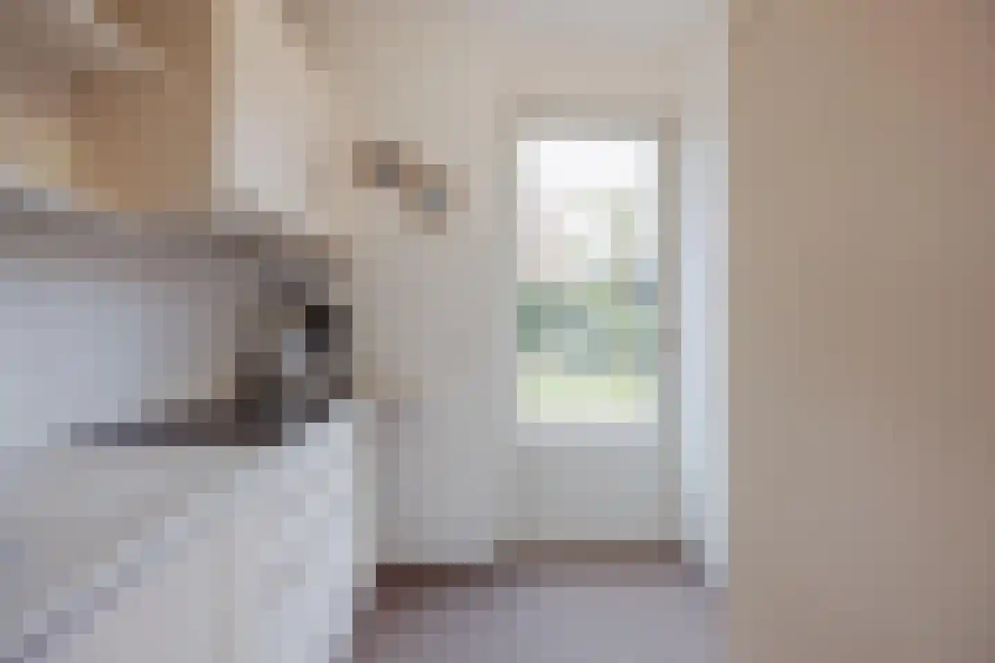 Blauwververstraat 44 Horst thumbnail 18