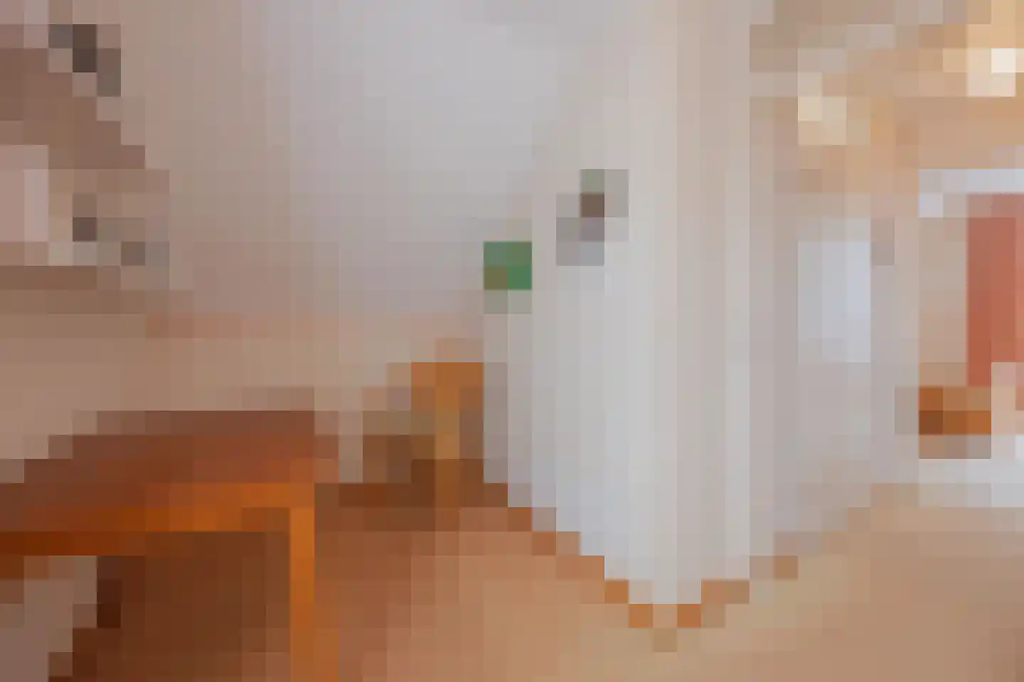 Blauwververstraat 44 Horst thumbnail 26