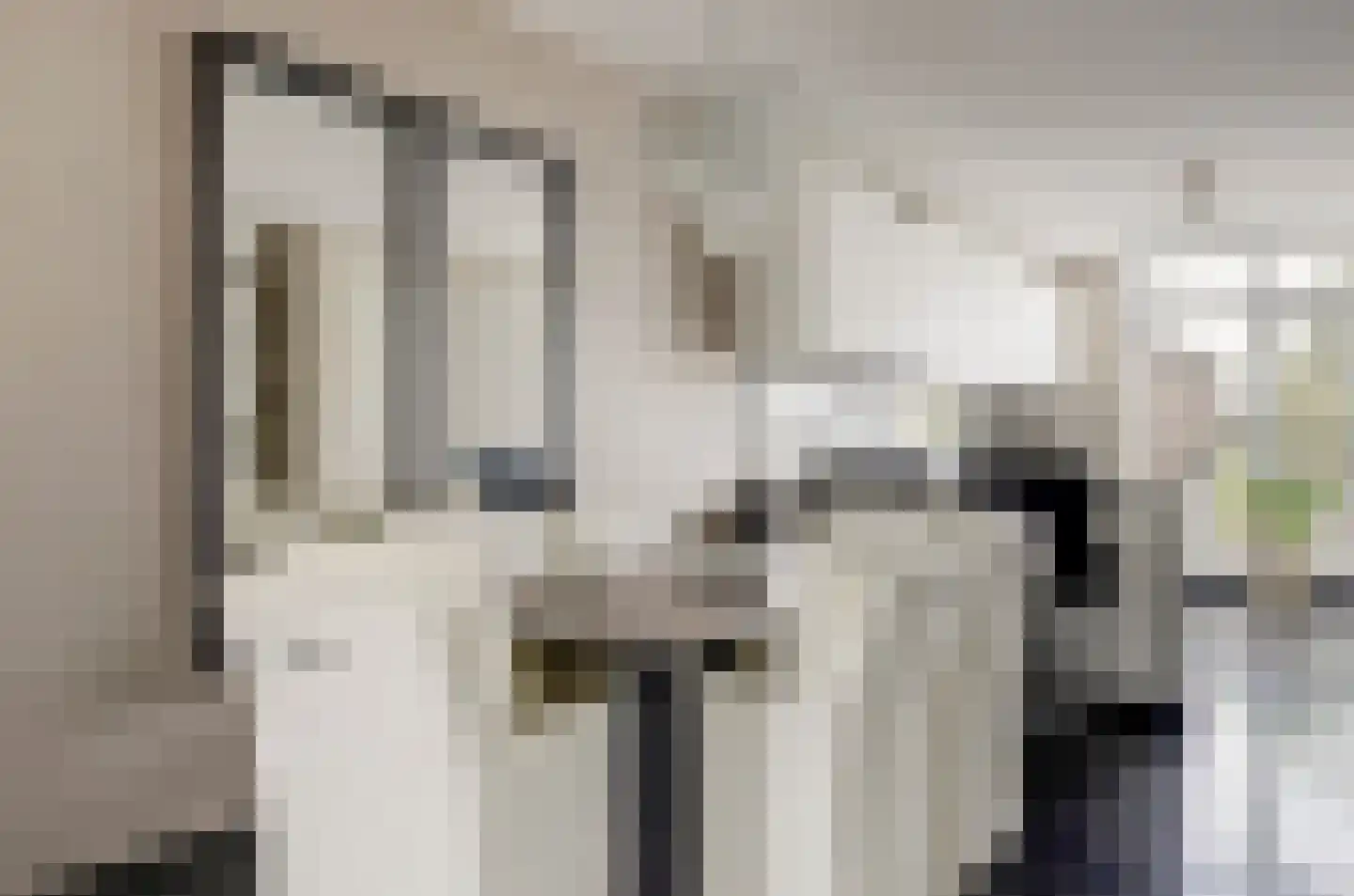 Blauwvlas 16 Lage Zwaluwe thumbnail 10