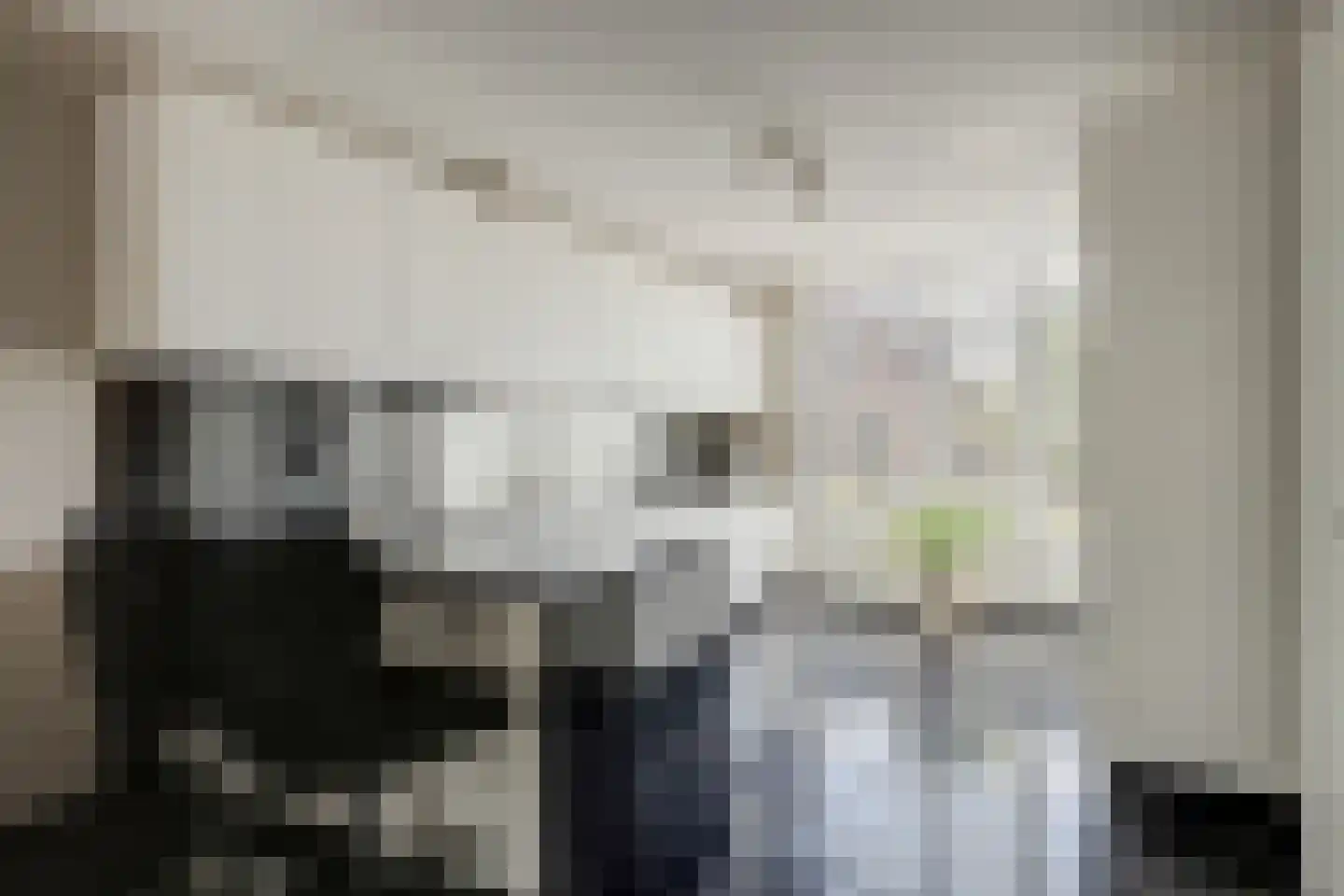 Blauwvlas 16 Lage Zwaluwe thumbnail 12