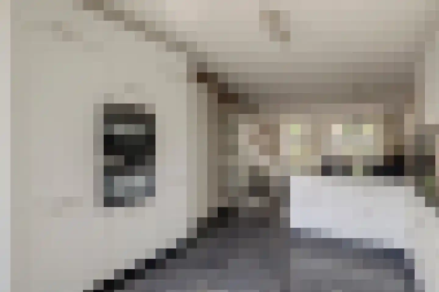 Blauwvlas 16 Lage Zwaluwe thumbnail 16