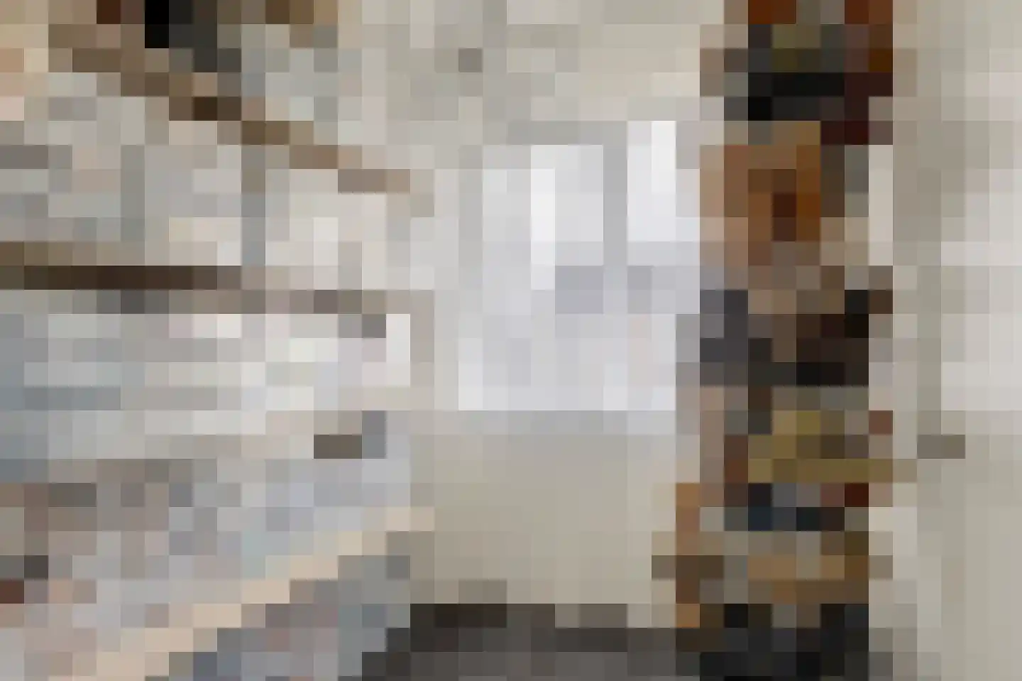 Blauwvlas 16 Lage Zwaluwe thumbnail 28