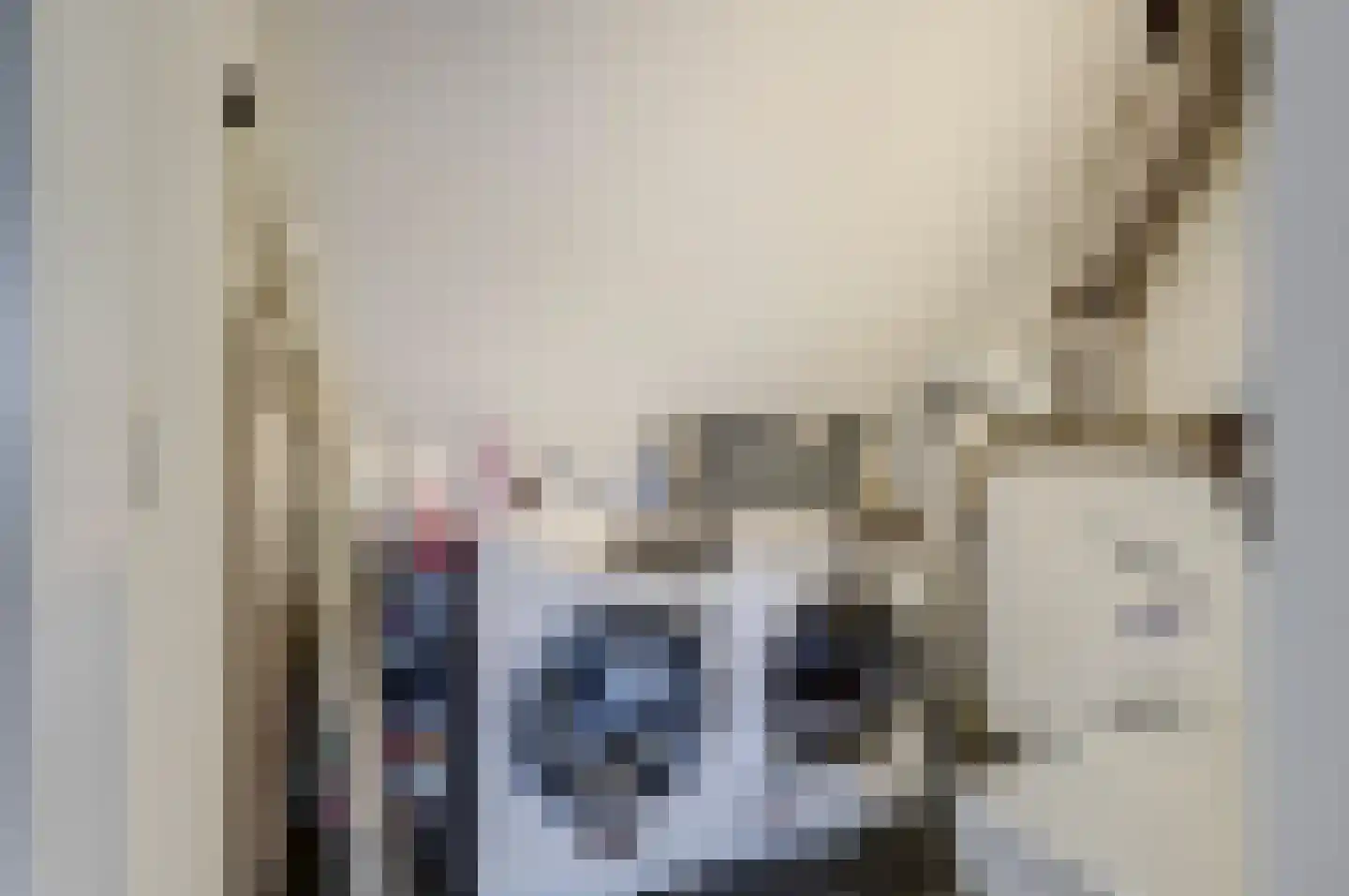 Blauwvlas 16 Lage Zwaluwe thumbnail 34