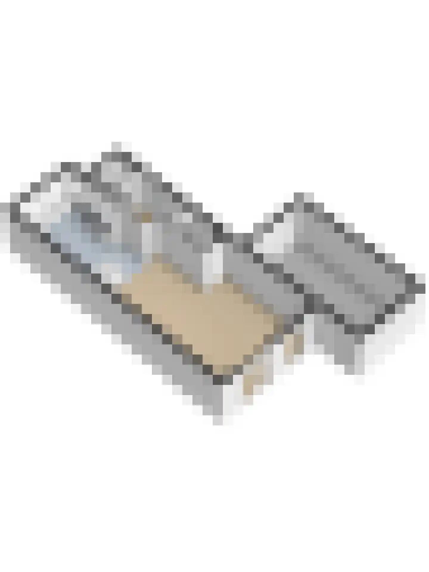 Blauwvlas 16 Lage Zwaluwe thumbnail 62