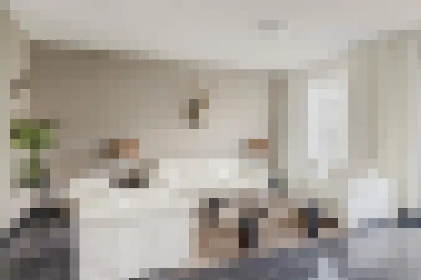 Blauwvlas 16 Lage Zwaluwe thumbnail 7