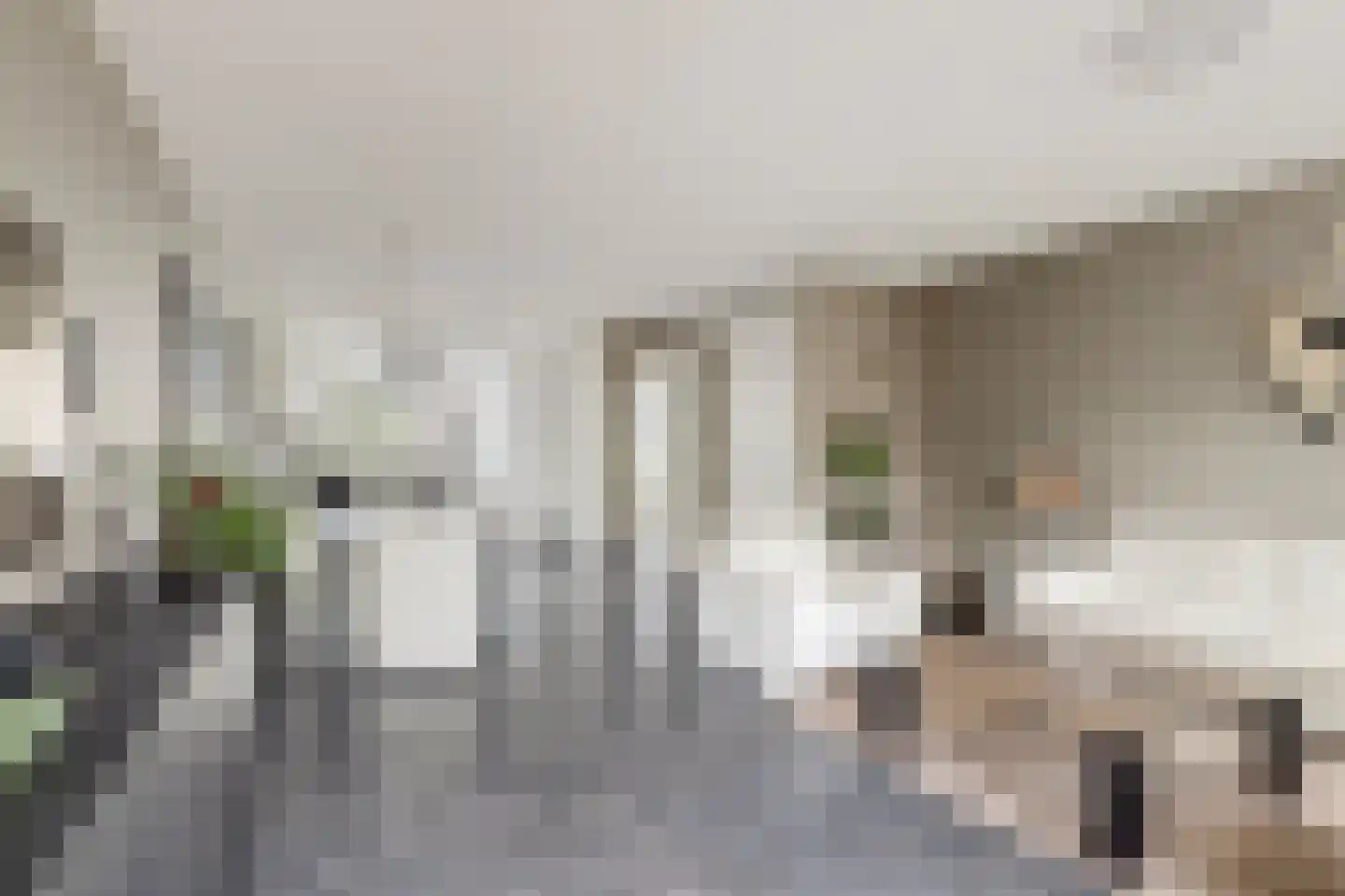 Blauwvlas 16 Lage Zwaluwe thumbnail 8