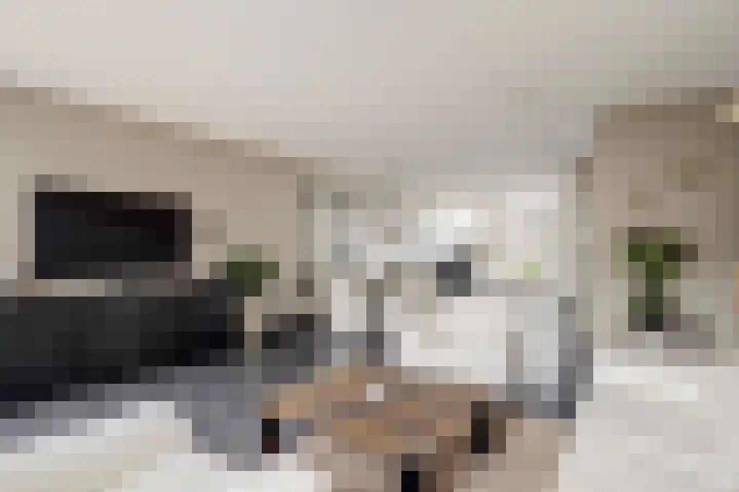 Blauwvlas 16 Lage Zwaluwe thumbnail 9