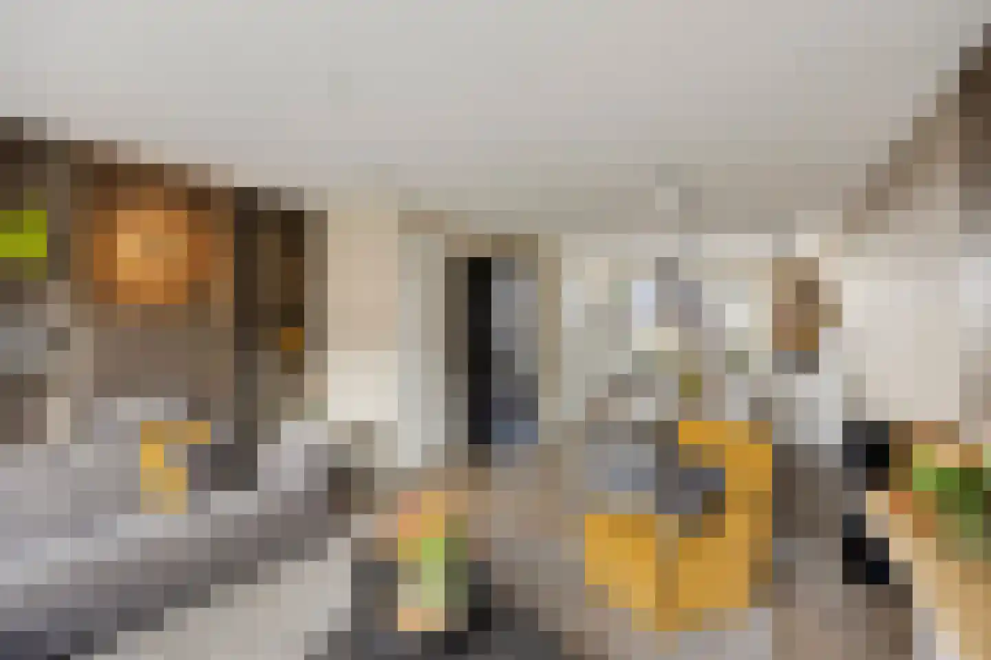 Blauwvlas 2 Lage Zwaluwe thumbnail 11