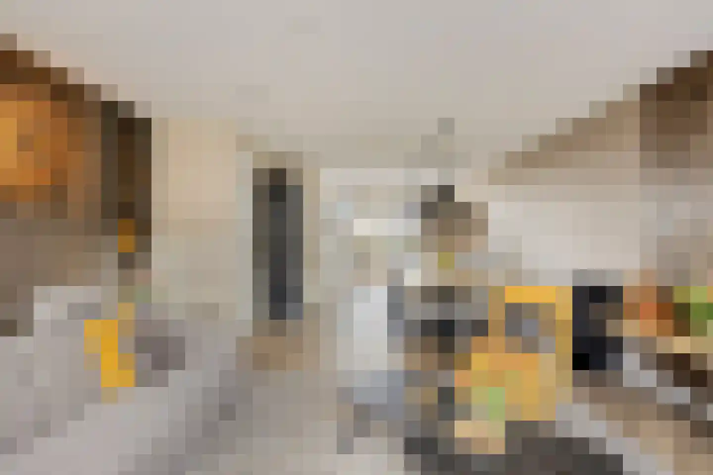 Blauwvlas 2 Lage Zwaluwe thumbnail 12