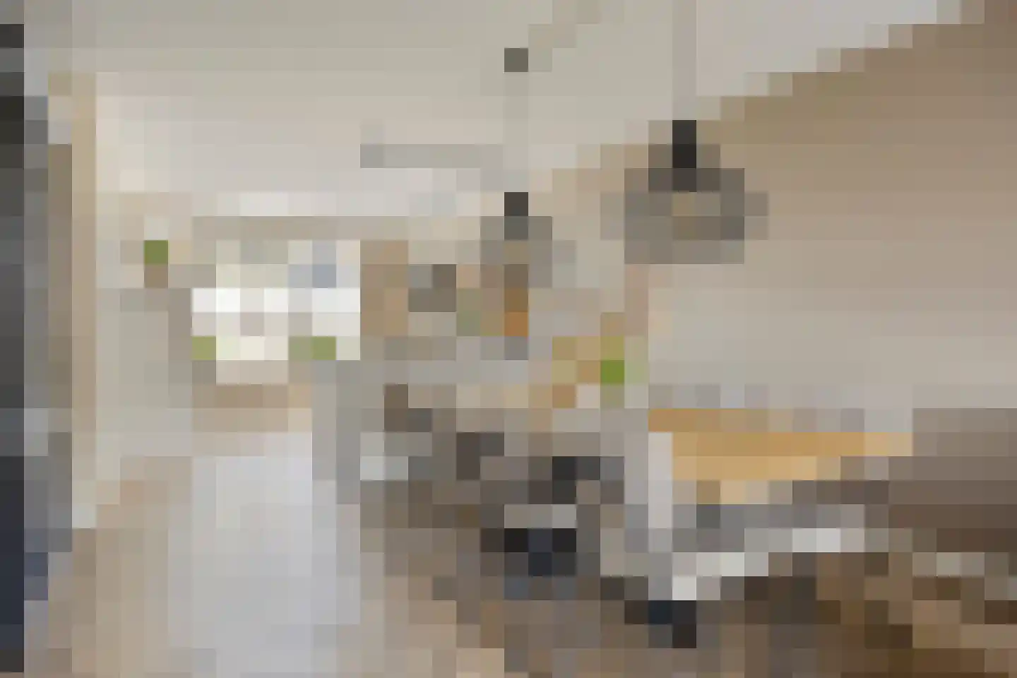 Blauwvlas 2 Lage Zwaluwe thumbnail 13