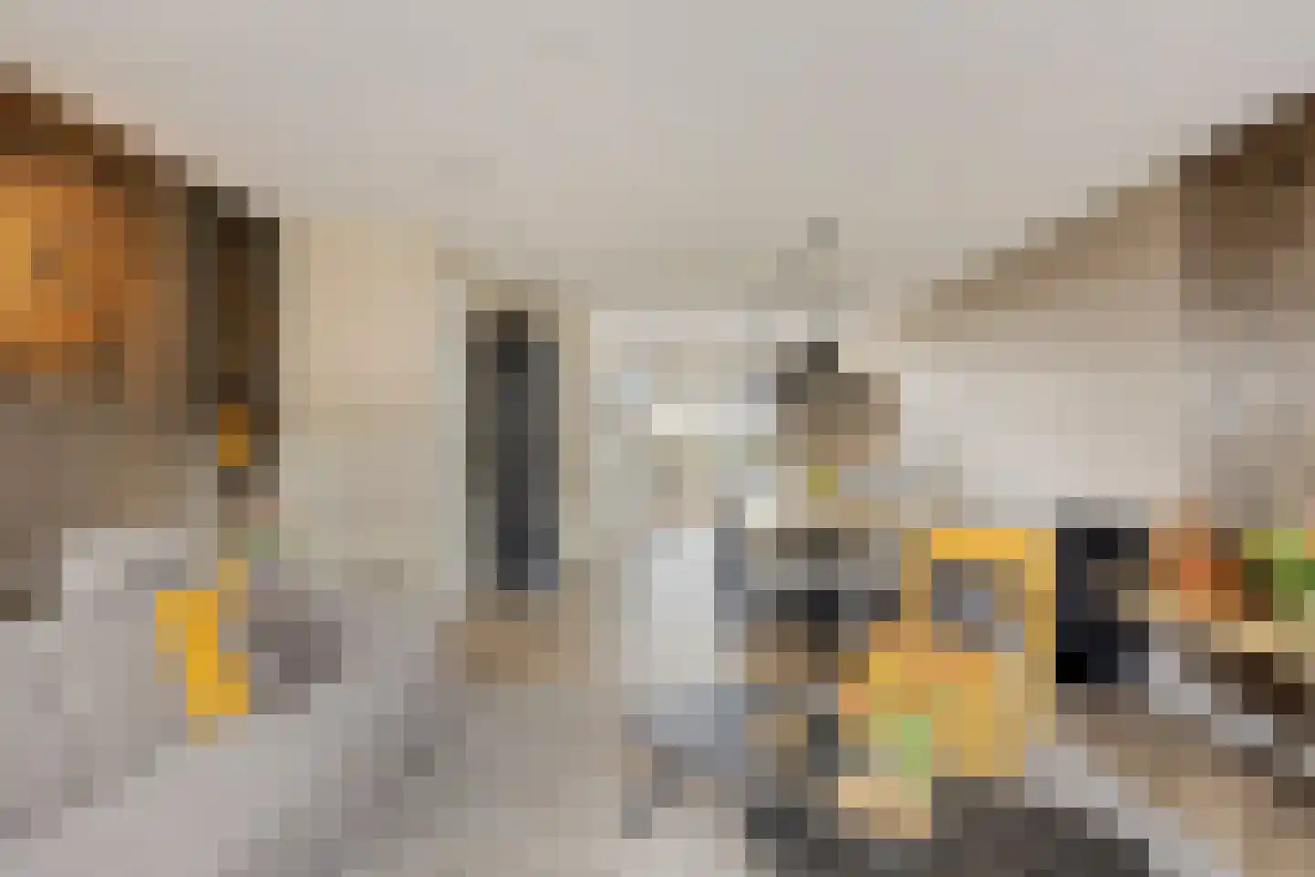 Blauwvlas 2 Lage Zwaluwe thumbnail 13