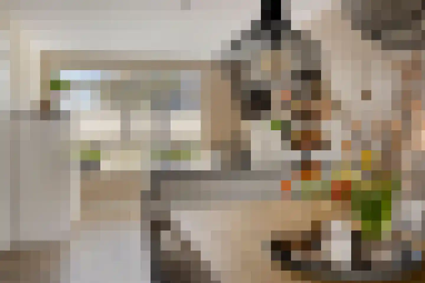 Blauwvlas 2 Lage Zwaluwe thumbnail 14