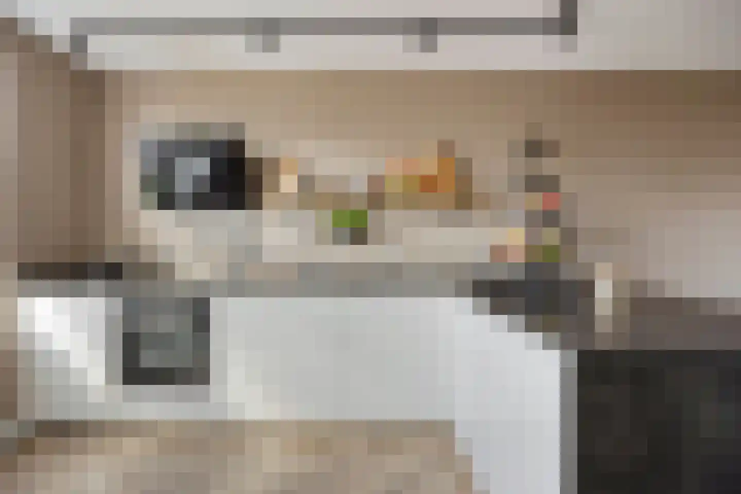 Blauwvlas 2 Lage Zwaluwe thumbnail 15