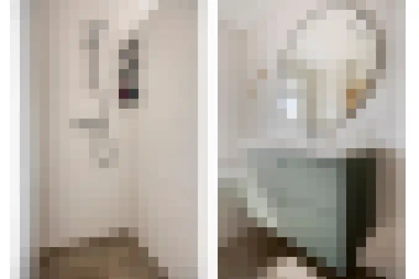 Blauwvlas 2 Lage Zwaluwe thumbnail 27