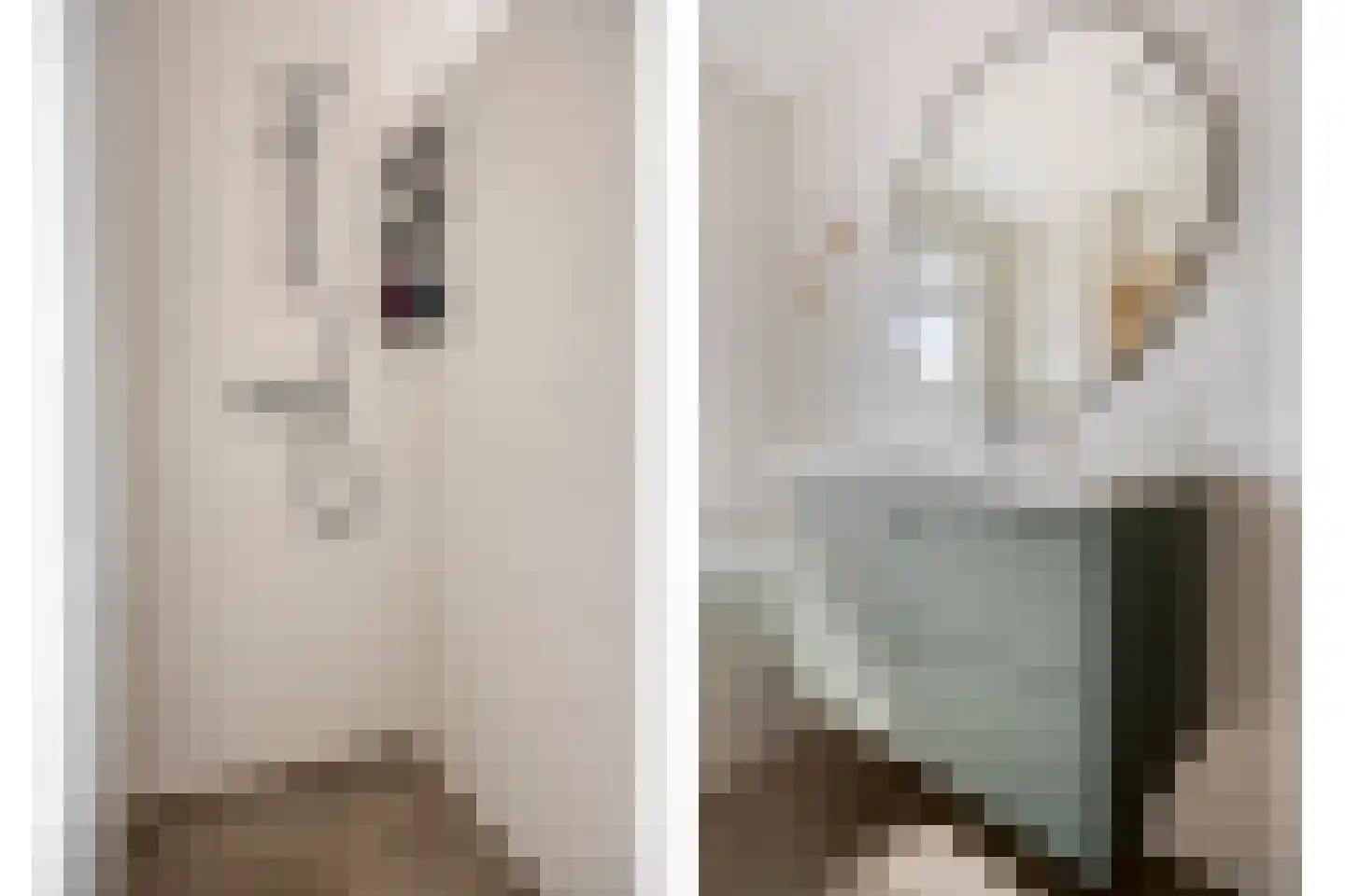 Blauwvlas 2 Lage Zwaluwe thumbnail 28
