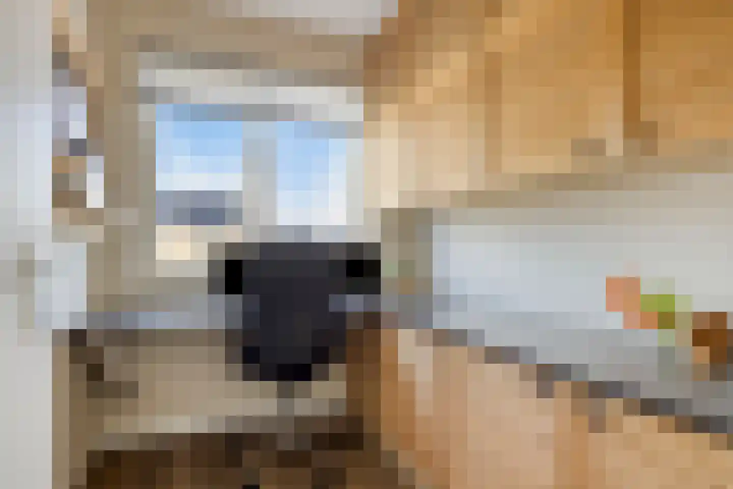 Blauwvlas 2 Lage Zwaluwe thumbnail 34
