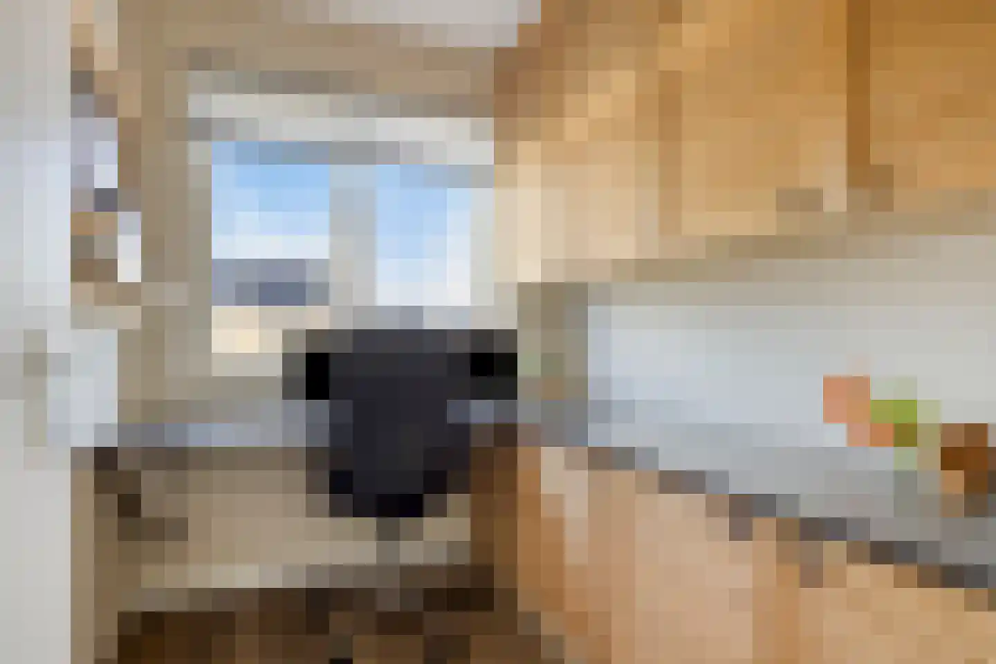 Blauwvlas 2 Lage Zwaluwe thumbnail 35